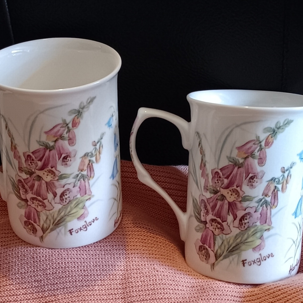 Stechcol cups ...2 new cups